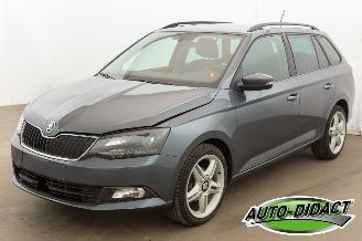 Vaurioauto  passenger cars Skoda Fabia 1.0 TSI Clima Navi 120.179 km 2018/4