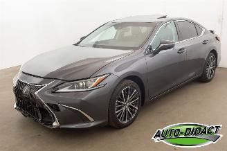 Auto incidentate Lexus ES 300 Hybrid 33.094 km Carpas Clima Navi Leder Camera 2023/5