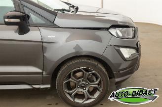 Ford EcoSport 1.0 ST Line Clima Navi Camera picture 33