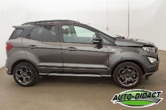 Ford EcoSport 1.0 ST Line Clima Navi Camera picture 41