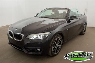 Vaurioauto  passenger cars BMW 2-serie 218i Cabrio Clima Navi CARPAS 2017/8