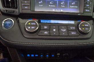 Toyota Rav-4 2.5 Hybrid Elek Pano Camera Leder Autom Navi picture 11