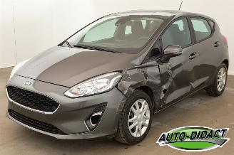 Avarii autoturisme Ford Fiesta 1.0 Airco 2019/9