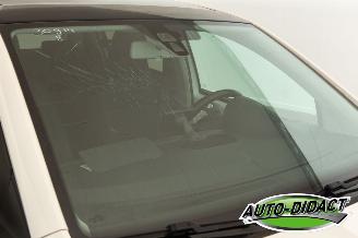 Skoda Citigo 1.0 Airco Open Pano Greentech Arctic Air picture 29