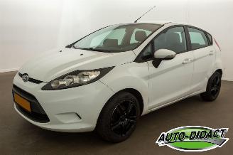 Vaurioauto  passenger cars Ford Fiesta 1.25 Limited - Airco - Camera 2010/10