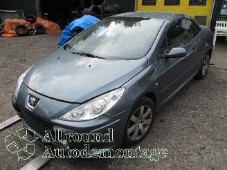 rozbiórka samochody osobowe Peugeot 307 307 CC (3B) Cabrio 2.0 16V (EW10J4(RFN)) [100kW]  (10-2003/06-2005) 2004