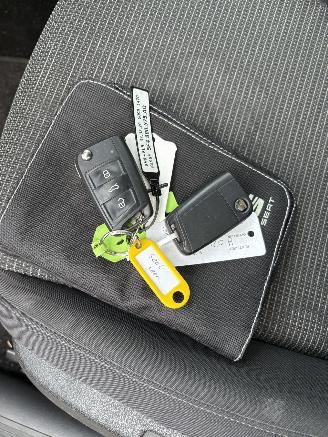 Seat Leon 1.6 TDI 85kw Style Ultimate Edition picture 16