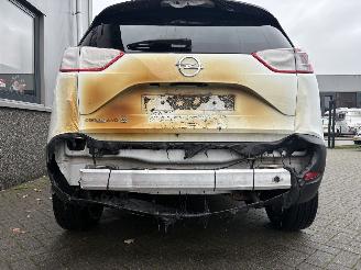 Opel Crossland X 1.2 120 Jaar Edition picture 10