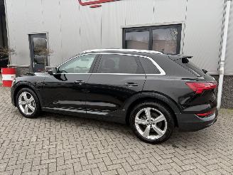 Audi E-tron 55 Quattro Advanced Pro Line Plus 95kWh picture 5