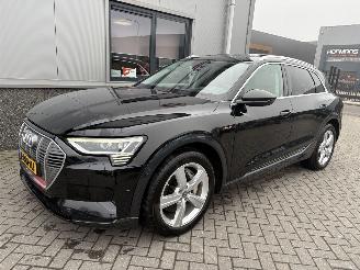 Audi E-tron 55 Quattro Advanced Pro Line Plus 95kWh picture 29