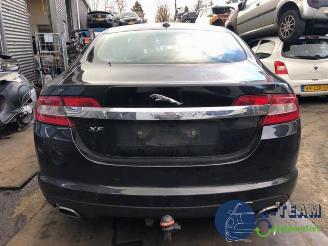 Salvage car Jaguar XF XF (CC9), Sedan, 2008 / 2015 3.0 D V6 24V 2010/8