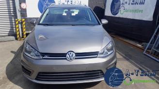 Volkswagen Golf Golf VII Variant (AUVV), Combi, 2013 / 2021 1.6 TDI BlueMotion 16V picture 2