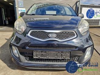 Kia Picanto Picanto (TA), Hatchback, 2011 / 2017 1.0 12V picture 3