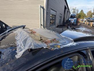 Mercedes C-klasse C AMG (C204), Coupe, 2011 6.2 C-63 AMG V8 32V Edition 507 picture 9