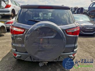 Ford EcoSport EcoSport (JK8), SUV, 2013 1.0 EcoBoost 12V 125 picture 2