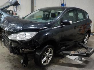 Sloopauto Ford C-Max C-Max (DXA) MPV 1.6 SCTi 16V (JQDB(Euro 5)) [110kW]  (12-2010/12-2014)= 2012