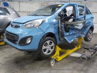 Salvage car Kia Picanto Picanto (TA) Hatchback 1.0 12V (G3LA) [51kW]  (05-2011/06-2017) 2011/6