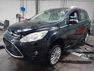 Autoverwertung Ford Grand C-Max Grand C-Max (DXA) MPV 1.0 Ti-VCT EcoBoost 12V 125 (M1DA(Euro 5)) [92kW=
]  (10-2012/06-2019) 2013