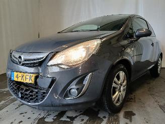 Avarii autoturisme Opel Corsa Corsa D Hatchback 1.2 16V (A12XER(Euro 5)) [63kW]  (12-2009/08-2014) 2013/3