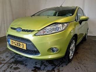 škoda osobní automobily Ford Fiesta Fiesta 6 (JA8) Hatchback 1.25 16V (SNJA) [60kW]  (06-2008/06-2017) 2008/9