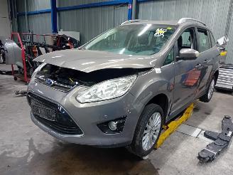  Ford Grand C-Max Grand C-Max (DXA) MPV 1.0 Ti-VCT EcoBoost 12V 125 (M1DA(Euro 5)) [92kW=
]  (10-2012/06-2019) 2013