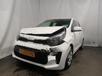 krockskadad bil auto Kia Picanto Picanto (JA) Hatchback 1.0 DPI 12V (G3LD) [46kW]  (05-2024/...) 2024/1
