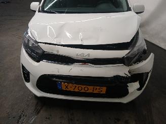 Kia Picanto Picanto (JA) Hatchback 1.0 DPI 12V (G3LD) [46kW]  (05-2024/...) picture 22