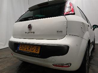 Fiat Punto Grande Punto (199) Hatchback 1.3 JTD Multijet 16V VGT (199.B.4000(Euro=
 5)) [62kW]  (04-2010/...) picture 5