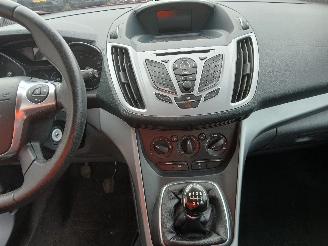 Ford Grand C-Max Grand C-Max (DXA) MPV 1.0 Ti-VCT EcoBoost 12V 125 (M1DA(Euro 5)) [92kW=
]  (10-2012/06-2019) picture 13