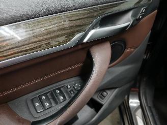 BMW X1 X1 (F48) SUV sDrive 18i 1.5 12V TwinPower Turbo (B38-A15A) [103kW]  (0=
7-2017/06-2022) picture 11