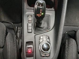 BMW X1 X1 (F48) SUV sDrive 18i 1.5 12V TwinPower Turbo (B38-A15A) [103kW]  (0=
7-2017/06-2022) picture 25