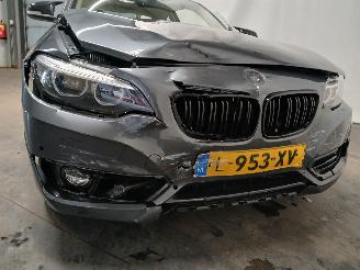 BMW 2-serie 2 serie (F22) Coupé 218i 1.5 TwinPower Turbo 12V (B38-B15A) [100kW] =
 (03-2015/06-2021) picture 28