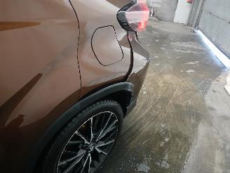 Toyota C-HR C-HR (X1,X5) SUV 1.8 16V Hybrid (2ZRFXE) [90kW]  (10-2016/...) picture 19