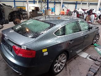 Audi A5 A5 Sportback (8TA) Liftback 1.8 TFSI 16V (CJEB(Euro 5; Euro 6)) [125kW=
]  (08-2011/01-2017) picture 3