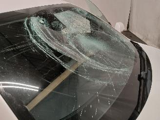 Tesla Model 3 Model 3 Sedan Long Range 72kWh (3D6) [192kW]  (01-2017/...) picture 20