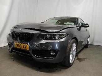 škoda osobní automobily BMW 2-serie 2 serie (F22) Coupé 218i 1.5 TwinPower Turbo 12V (B38-B15A) [100kW] =
 (03-2015/06-2021) 2018/5