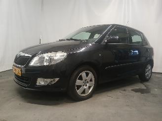 Skoda Fabia Fabia II (5J) Hatchback 5-drs 1.2 TSI (CBZA) [63kW]  (03-2010/12-2014)= picture 3