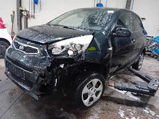 Coche siniestrado Kia Picanto Picanto (TA) Hatchback 1.0 12V (G3LA) [51kW]  (05-2011/06-2017) 2015/2