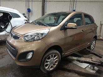  Kia Picanto Picanto (TA) Hatchback 1.0 12V (G3LA) [51kW]  (05-2011/06-2017) 2011/12