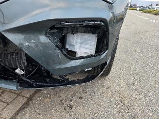 Cupra Ateca 1.5 TSI DSG picture 15