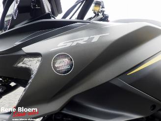 QJMotor SRT 800 SX  picture 19