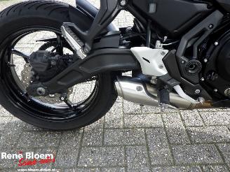 Kawasaki Ninja 650  picture 19