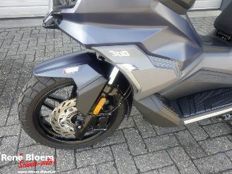Sym  ADX 300 picture 13