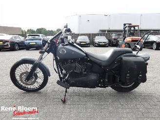 Harley-Davidson Night train 88 FXSTB picture 2