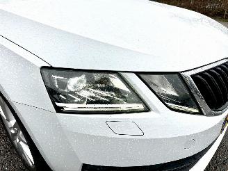 Skoda Octavia 1.0 TSI 116pk 6-bak Greentech Bus Edition Plus - xenon - virtual - camera - pdc - carplay - clima - cruise picture 103