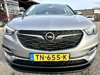 Opel Grandland X 1.2 Turbo 131pk 6-bak Online Edition - nap - navi - clima - cruise - pdc v+a - carplay - privacy glass picture 3