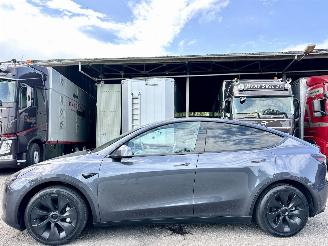 Voiture accidenté Tesla Model Y RWD 58kWh Aut - nap - 1e eig - panoramadak - 2023/1
