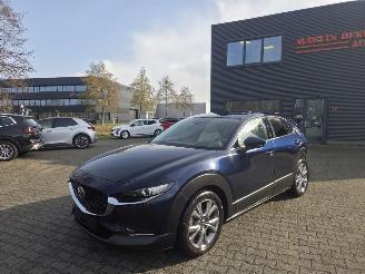 škoda osobní automobily Mazda CX-30 137KW /HYBR / AUTOM /SHUIFDAK / LEER /HEAD UPP 2021/7