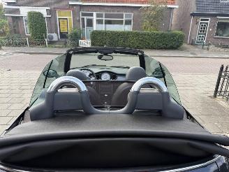 Mini Cabrio 1.6 Cooper Chili picture 14