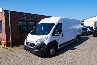 occasion commercial vehicles Fiat Ducato MAXI L5 H2 2019/9